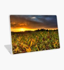 Turning Laptop Skin