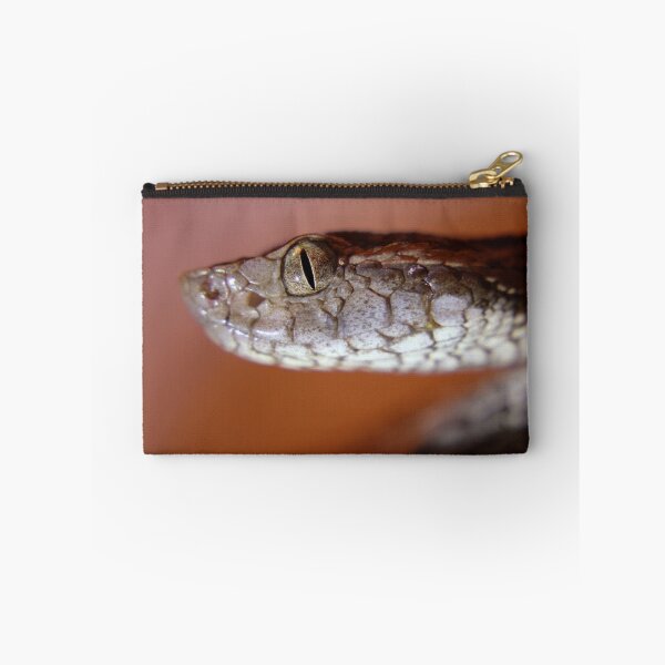Item preview, Fer-de-lance (Bothrops asper) designed and sold by Robbie Labanowski.