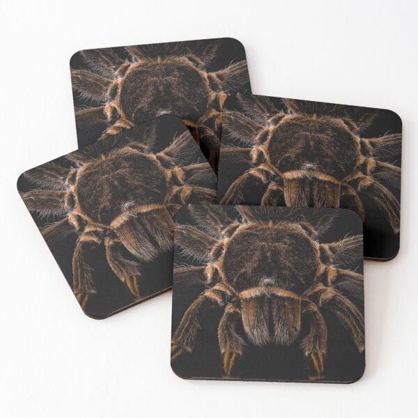 Item preview, Tarantula Spider designed and sold by bastcreative.