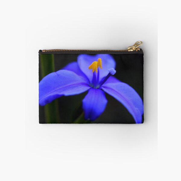 Item preview, Orthrosanthus multiflorus  designed and sold by andrachne.