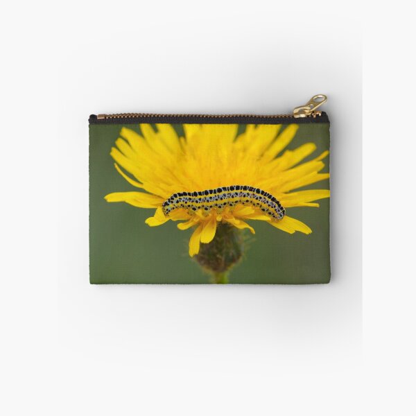 Item preview, The Toadflax Brocade Moth Larvae designed and sold by DigitallyStill.