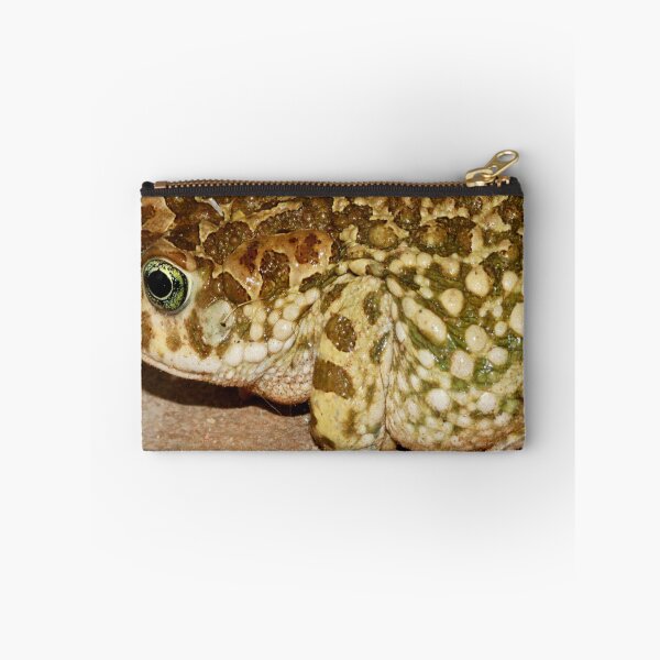 Item preview, Karoo Skurwepadda - Vandijkophrynus gariepensis - Karoo Toad designed and sold by Rina Greeff.