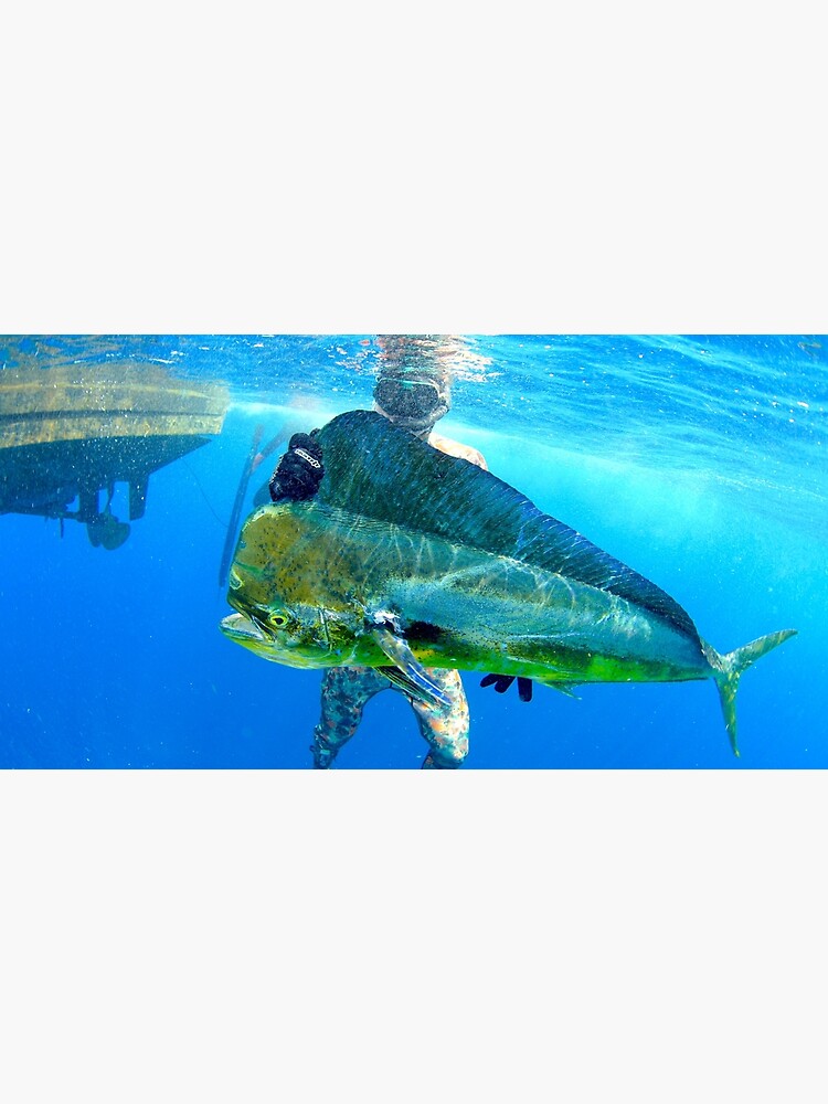 Locos por la pesca - Locos por la pesca submarina