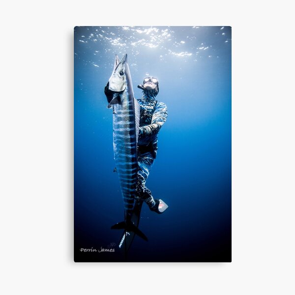 Diving Wall Art Redbubble - roblox scuba diving at quill lake how to get power suit scrap