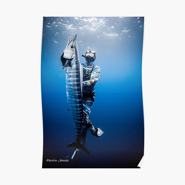 Spearfishing wahoo Poster