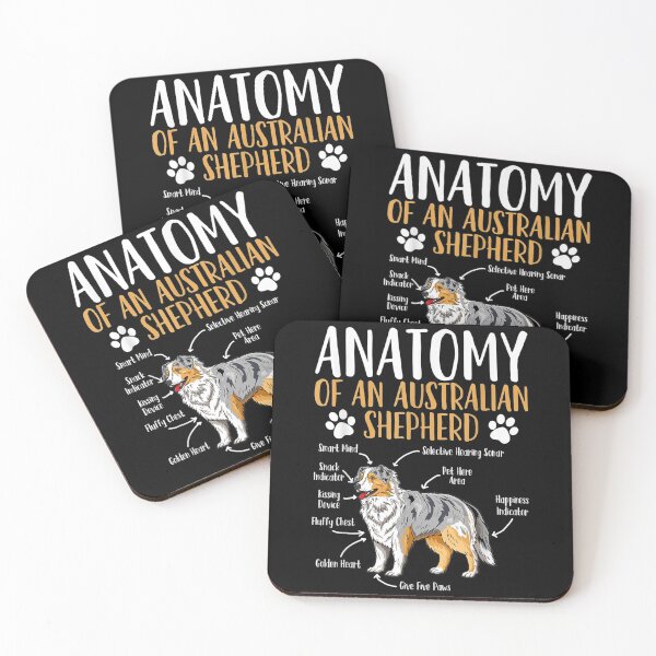 Item preview,  Australian Shepherd Dog Anatomy designed and sold by paudels.