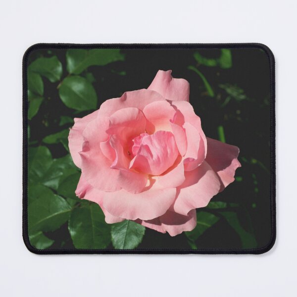 Item preview, Blooming Pink Flower designed and sold by NoSpecialShop.