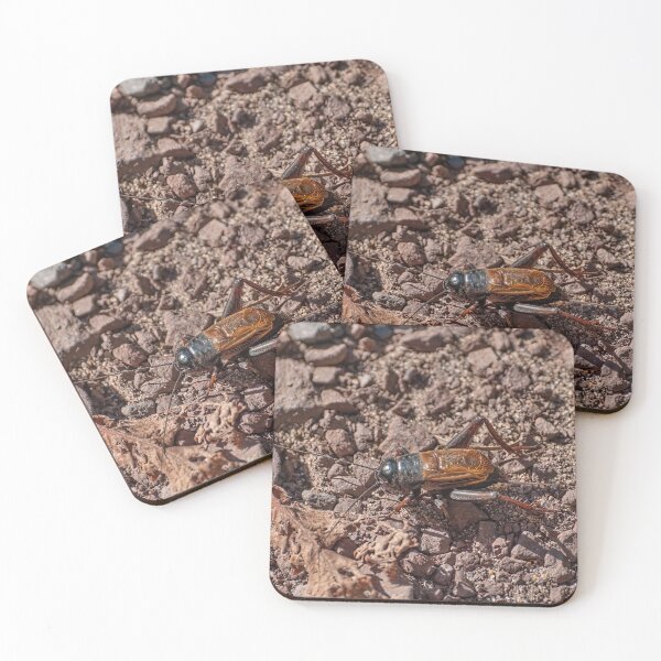 Item preview, Orthopteran designed and sold by Lanis Rossi.