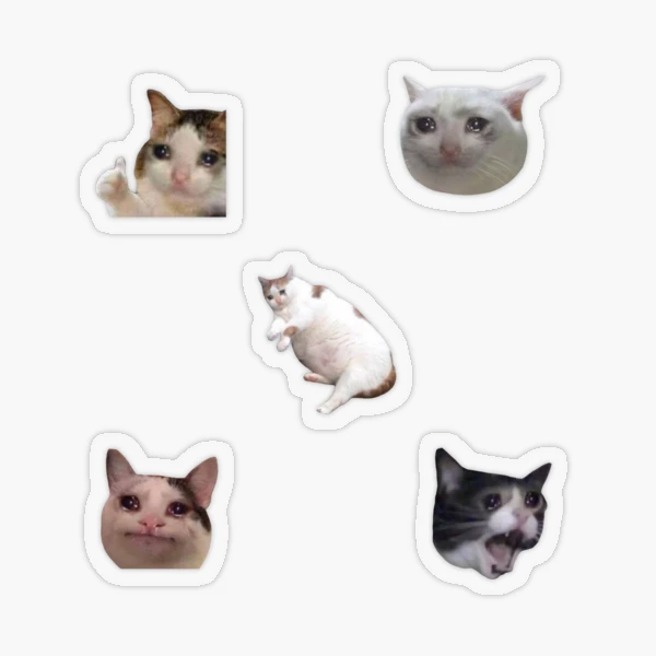 Pack of 7 Meme Crying Cat Stickers, Crying Cat Sticker Pack, for cat lovers