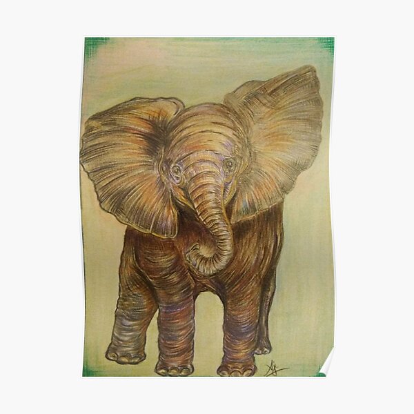 Elephants Of India Posters Redbubble