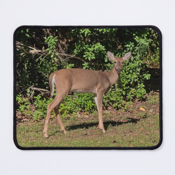 Item preview, Ain’t She Sweet? designed and sold by Lanis Rossi.