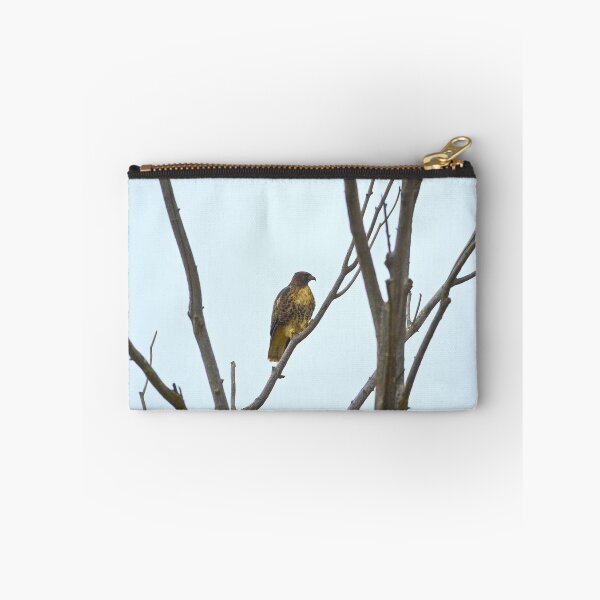 Item preview, Hawk in Montana designed and sold by amontanaview.