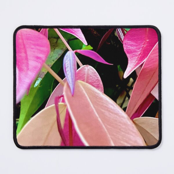 Autumn/Fall Colours III Mouse Pad