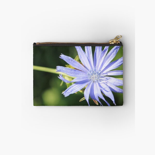 Item preview, "Wild Flower" Cichorium intybus  designed and sold by NewfieKeith.