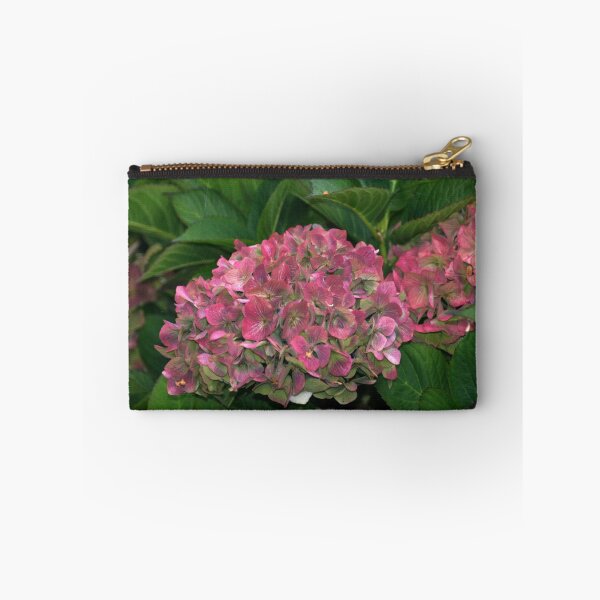 Item preview, Drying Hydrangea designed and sold by Loisb.