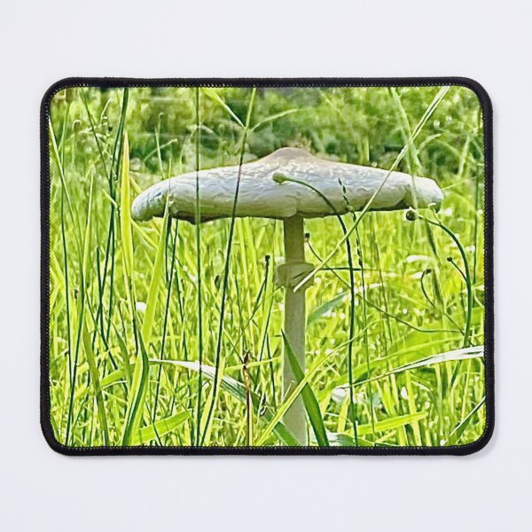 Item preview, "Toadstool" by Margo Humphries designed and sold by Margo Humphries.