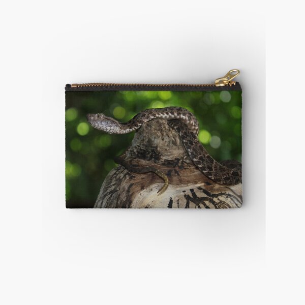 Item preview, Fer-de-lance (Bothrops asper) designed and sold by Robbie Labanowski.