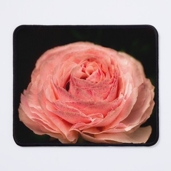 Item preview, Pink Butter cup designed and sold by justmylup.