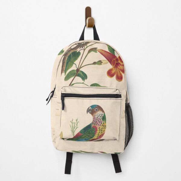 Item preview, Pretty Parakeet Painting from 1823 designed and sold by LoveVintageToo.