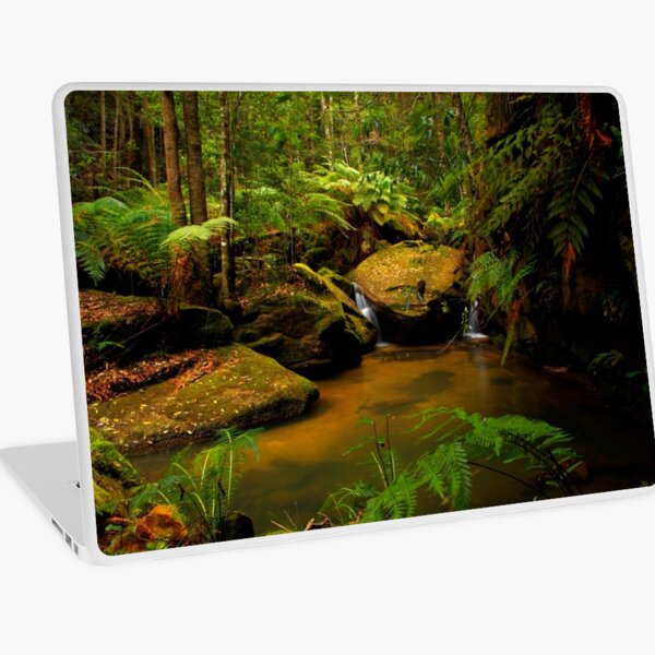 Blue Mountains, NSW. Laptop Skin