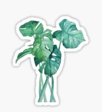 Monstera Sticker