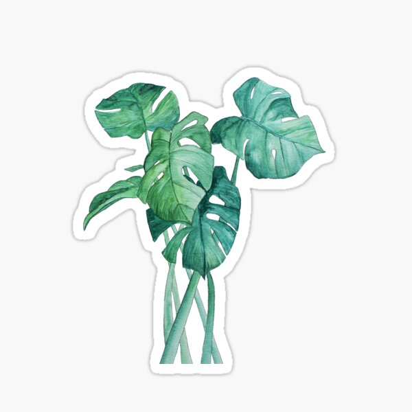 Monstera Sticker