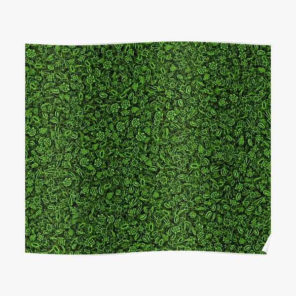 Green micropets Poster