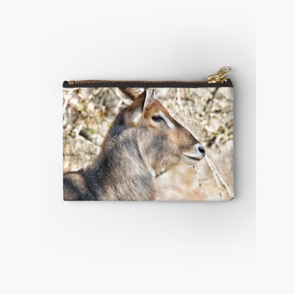 Item preview, Male Waterbuck Close Up designed and sold by Michael Moss Photography.