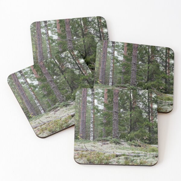 Item preview, Lichen forest at Harjuniitty designed and sold by Jouko Lehto Photography.