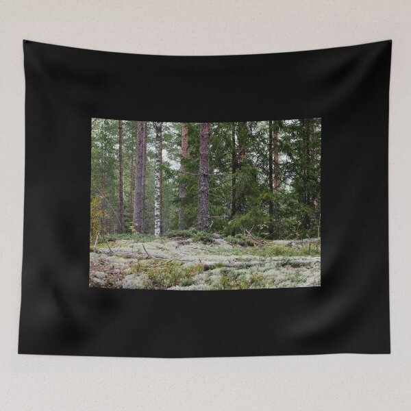Item preview, Lichen forest at Harjuniitty designed and sold by Jouko Lehto Photography.
