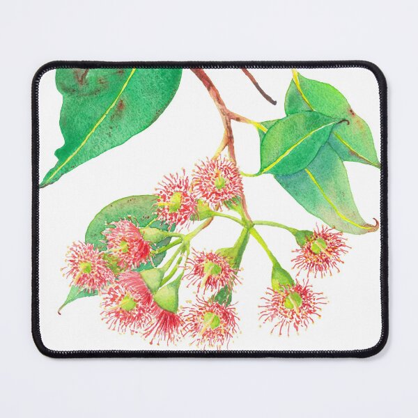 Item preview, Red flowering eucalyptus with red flowers watercolour designed and sold by Zoya Makarova.
