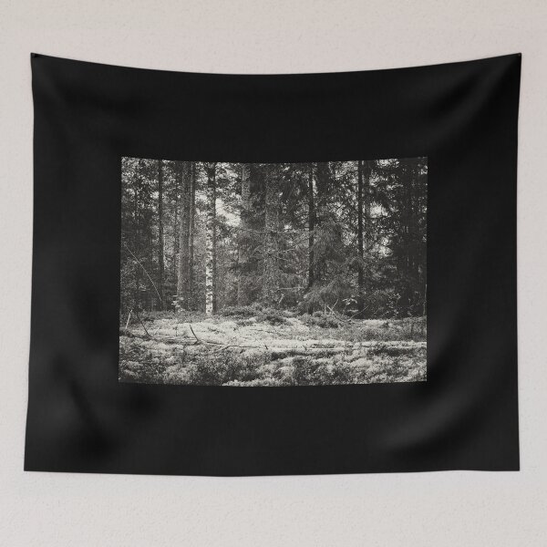 Item preview, Lichen forest at Harjuniitty bw designed and sold by Jouko Lehto Photography.