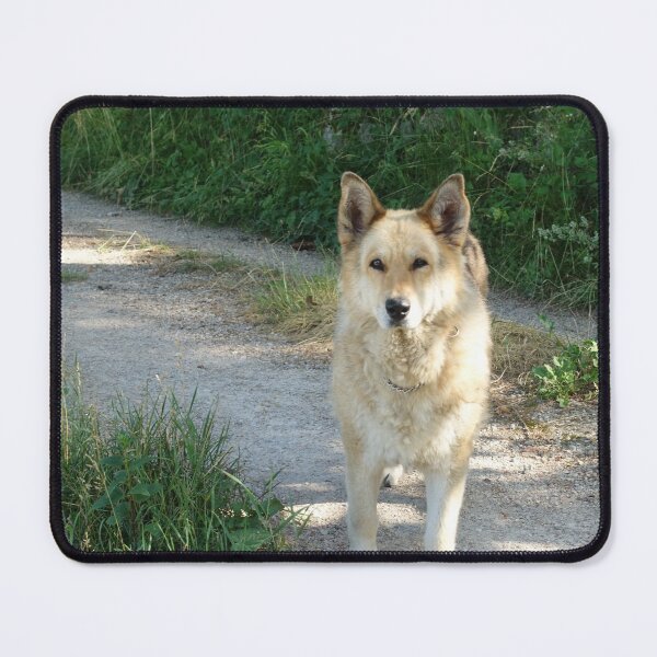 Item preview, schapa designed and sold by barbich.