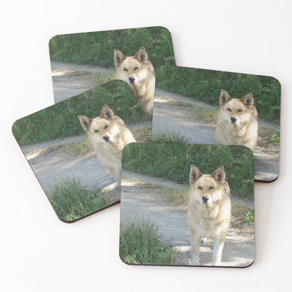 Item preview, schapa designed and sold by barbich.