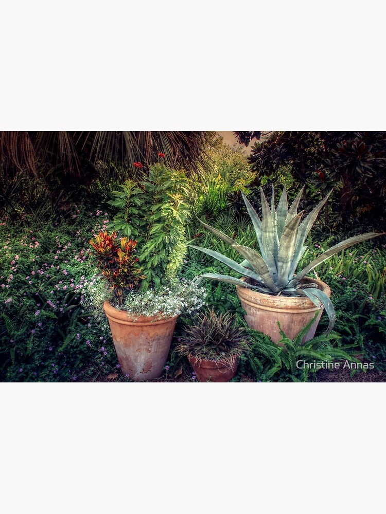 Terra Cotta Trio at Sunset by 2Bricks