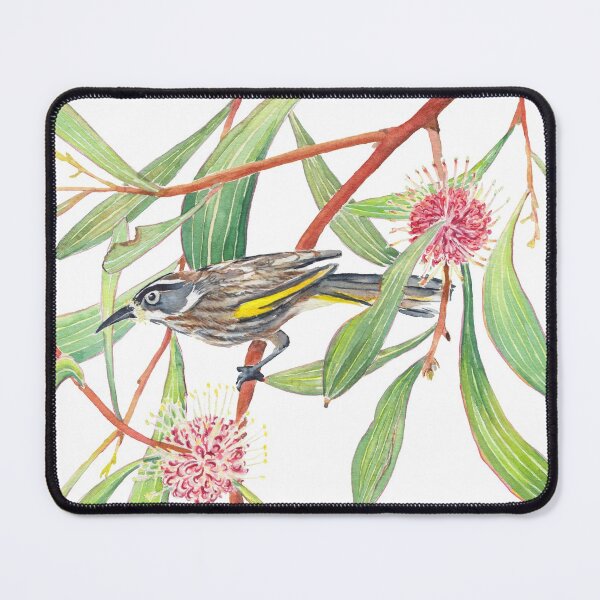 Item preview, New Holland Honeyeater and Hakea Laurina watercolour designed and sold by Zoya Makarova.