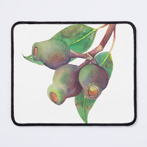 Item preview, Eucalyptus tree branch with gumnuts watercolour designed and sold by Zoya Makarova.