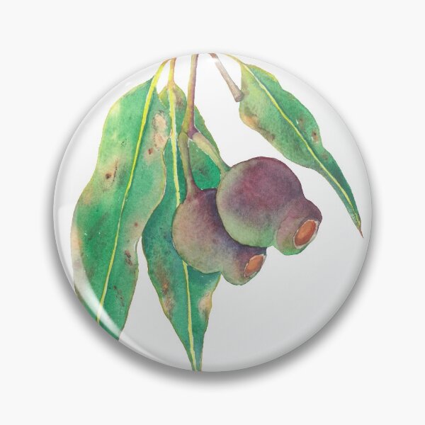 Item preview, Eucalyptus tree branch with gumnuts watercolour designed and sold by Zoya Makarova.
