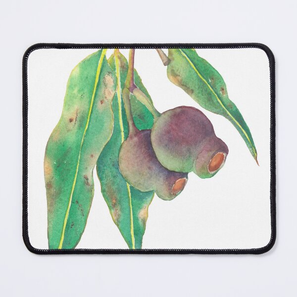 Item preview, Eucalyptus tree branch with gumnuts watercolour designed and sold by Zoya Makarova.