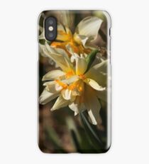 Daffodils iPhone Case/Skin