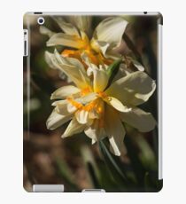 Daffodils iPad Case/Skin