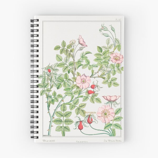 Item preview, Eglantier (wild rose) 1896 - Maurice Pillard Verneuil designed and sold by chamomile-cafe.