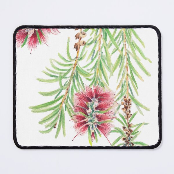 Item preview, Bottlebrush branch watercolour designed and sold by Zoya Makarova.