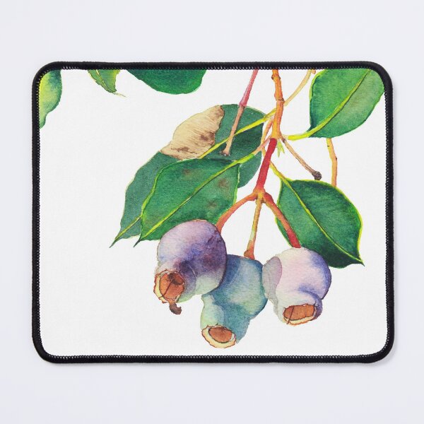 Item preview, Eucalyptus branch with gumnuts - watercolour designed and sold by Zoya Makarova.