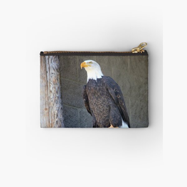 Artikelvorschau, American Bald Eagle entworfen und verkauft von NewfieKeith.