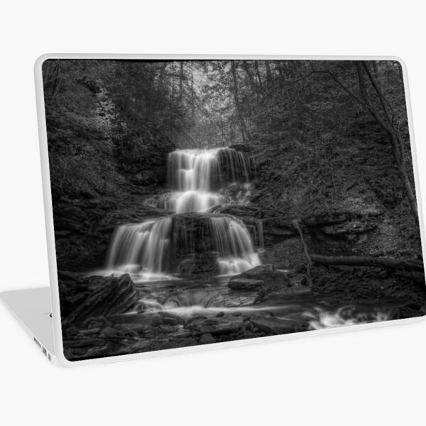 Tuscarora Falls Oct 2011 Laptop Skin
