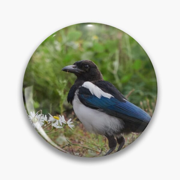 Item preview, Should I bring some flowers too. Eurasian magpie designed and sold by Jouko Lehto Photography.