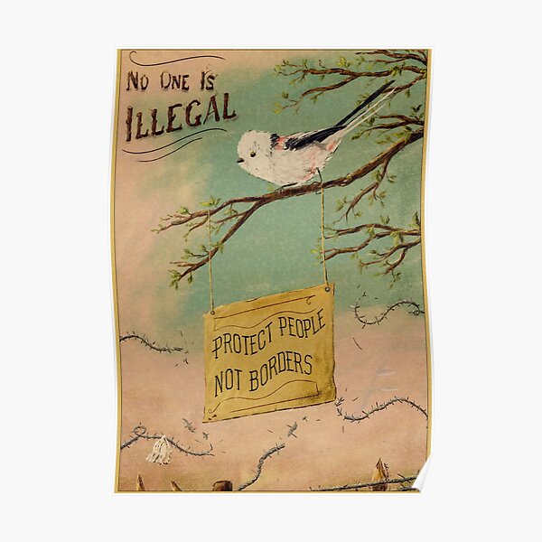 Protect people not borders - Pro-migrand bird Poster
