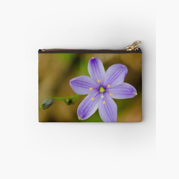 Artikelvorschau, Blue squill     (Chamaescilla corymbosa) entworfen und verkauft von Cheryl Ribeiro.