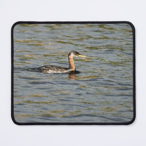 Item preview, The young Red-necked Grebe designed and sold by Jouko Lehto Photography.